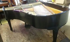 STEINWAY L 5' 10" GRAND PIANO 1927 RESTORED/LOW PRICE FREE MOVE/TUNE E USA