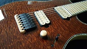 Mayones Regius 7 String Electric Guitar 35th Anniversary