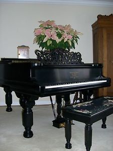 Steinway Parlor Grand, circa 1884. Fully Restored Antique, Free Shipping