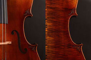 Special Offer！Advanced model Cello Alessandro​ Gagliano ​1704 Copy!