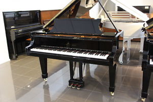 Steinway & Sons Flügel, B 211, Bj. 2001, vom Klavierbaumeister generalüberholt