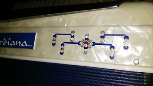 RELISTED DUE TO NON PAYMENT... Blue Pearl Excelsior Accordiana !!!