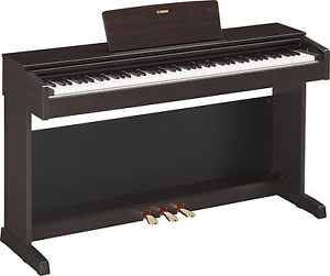 Arius YDP-143R Digitalpiano in Rosenholz dunkel