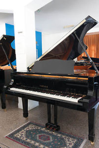 Yamaha Flügel Mod.C-7 227 cm occasion