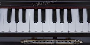 Best Quality Reeds,11 Scale Changer,11 Stop-Dark Mahogany By Dorpmarket