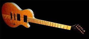 LENTZ  SCOTT LENTZ CUSTOM LP GUITAR   RARE SPECIAL ORDER   ONE OF A KIND BIRDSEY