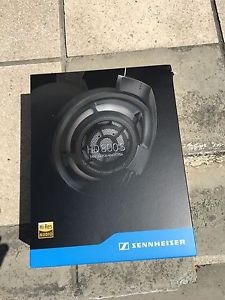 Sennheiser HD800s