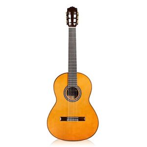 Cordoba C10 Parlor CD Acoustic Nylon String Parlor Size Classic Guitar with Case