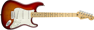 Fender Standard Stratocaster Electric Guitar - Flamed Maple Top - Maple Fingerb