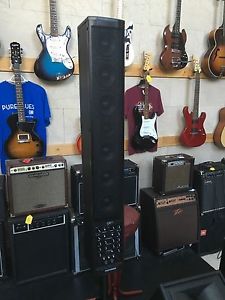 Fishman SA220