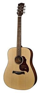 Richwood D -20 - Chitarra