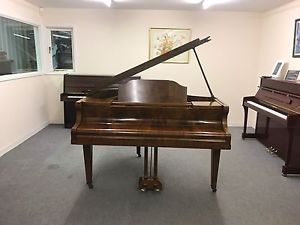 Beautiful Walnut Steck Baby Grand. Lovely Piece Of Furniture