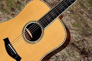 1995 Taylor PRESENTATION Dread Guitar - Custom BTO - BRAZILIAN B/S - PRISTINE !!