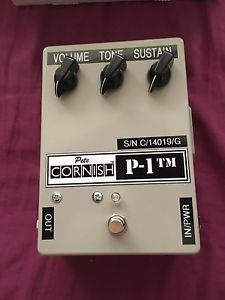 Pete Cornish P-1