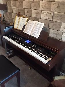 Technics Electronic Piano (personal delivery available)