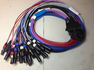 WhirlWind 40 Channel W3 Mass Connect Dog House  32X8.  Can be customized.