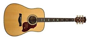 Richwood D-70 - Chitarra va