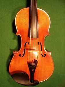 15" VIOLA --- GUARNERIUS --- Concert Class Professional