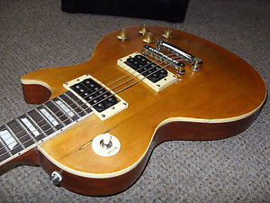 Gibson Les Paul Standard 1996 with hard case