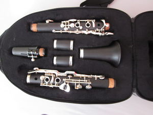 Schreiber D16 Klarinette guter Zustand wenig gespielt mit Zubehör