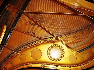 MODERNER CZAPKA & SOHN Flügel Stutzflügel Salonflügel Klavier Grand Pianoforte