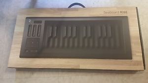 roli seaboard rise 25