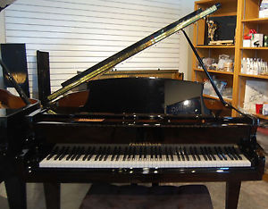 Pramberger 4'8" Polished Ebony Grand Piano