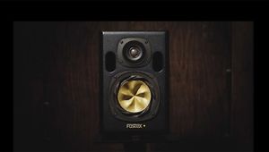 Speaker Fostex NF 01 R 1 Pair Li