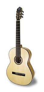 APC Instruments EXO EBA Chitarra Classica