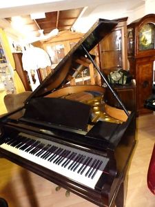 ORIGINAL EHRBAR FLÜGEL  KLAVIER FLÜGEL VERMUTLICH UM 1900 - 1930