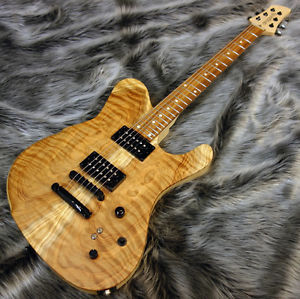 Dragonfly Electric Guitar Border