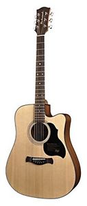 Richwood D-40 CE Chitarra