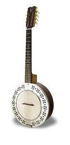 APC Instruments BJMDA300 PSI Banjo Mandolini