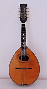 Antique Vintage Clifford Essex Mandolin Concert Grand Bronze Medal Model Used
