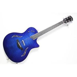 Taylor T5s1 Standard Hybrid Acou
