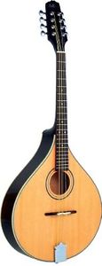 Ashbury Acoustic Instruments AM-325 Octave Mandola