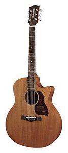 Richwood G-50 - Chitarra CE