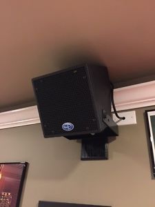 Danley SH-Mini's (4 sold together) (Danley Sound Labs)
