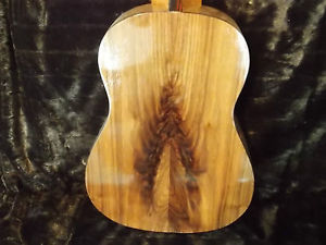 10-String Harp Guitar (Project)