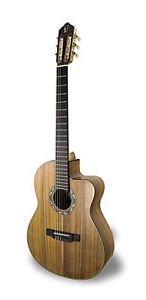 APC Instruments 10 KOA KOA CROS CW Chitarra Classica