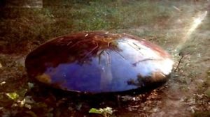 Custom Crafted - LOTUSDRUM- very easy to play, anyone can get the hang of it