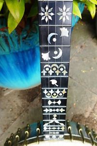 banjo 5-string presentation style