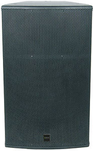 CX-5008 passif professionnel haut parleur 15" 500Wrms