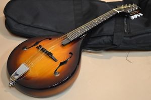 Gold Tone GM-A Rigel guitar FROM JAPAN/512