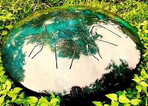 Custom Crafted - LOTUSDRUM- very easy to play, anyone can get the hang of it