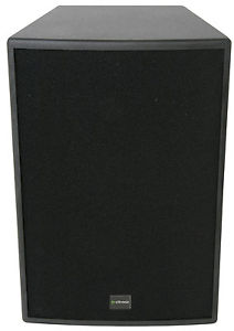CS1560 enceinte 38cm (15") - 600W