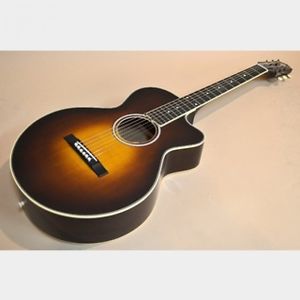 NEW Stringphonic LeRoy guitar FROM JAPAN/512
