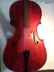 Rare Italian Cello (5-Strings), Signed by Ermanno Squilla, 1953