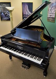1907 Steinway Victorian Model B Grand Piano with Tulip Legs