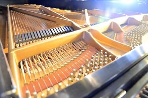 Steinway D, 9 foot Concert Grand, 1962 New York